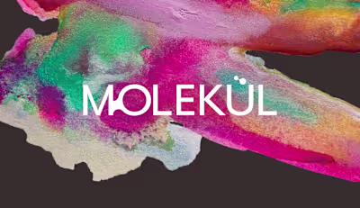 Molekül Artisan Chocolate