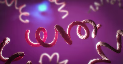 The Facts About Syphilis