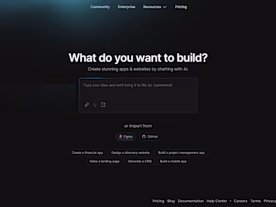 Bolt Mentor Program