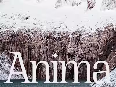 Anima Travels - Web Design (Framer)