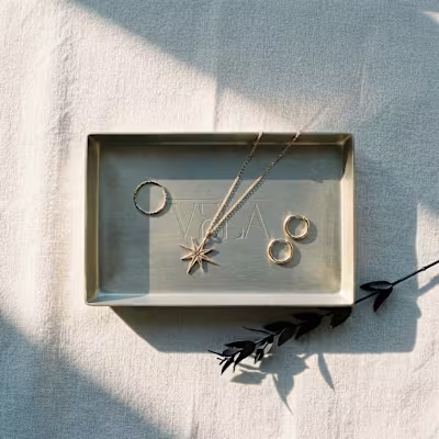 VELA Brand Identity and Website Design