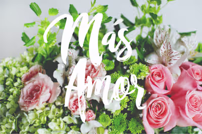 Branding | Photography | Editing Flower Catalog