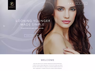 Levitt Homepage Design