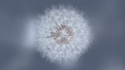 Are You A HSP (Highly-Sensitive Person)?