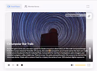 Feed Player: An Interactive UI Tool for Image and Video Display