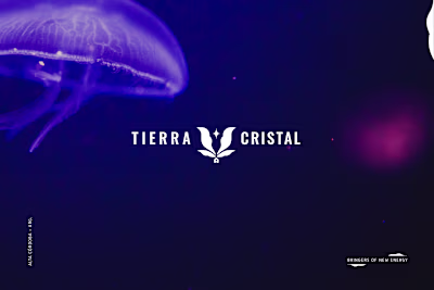 Brand Identity for Holistic Studio