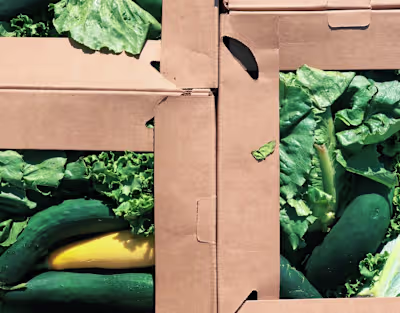 Ending Hunger through Stories