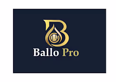 Professional Sports Academy Logo –