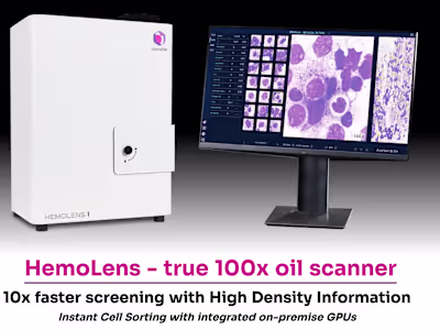 Custom Software Architecture for Startups