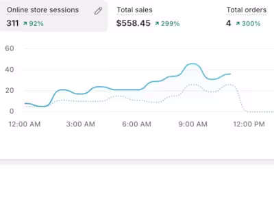 SEO Optimization Success Story