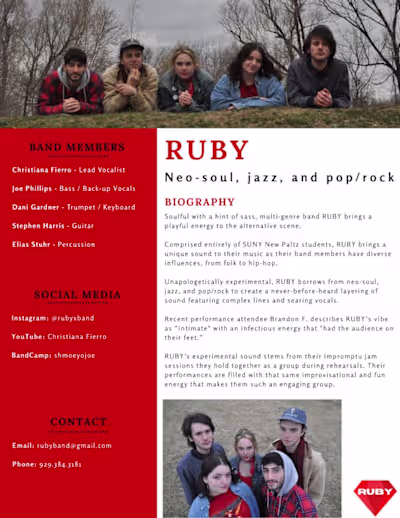 One-Page Press Kit