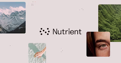 Nutrient - Custom Website Development