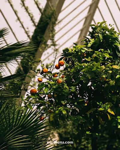 The 10 Best Things To Do in Valencia: Travel Blog to Inspire