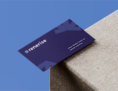 Renerise brand identity, Ui web3 design project :: Behance