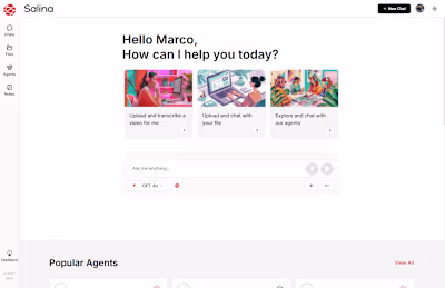 Salina Transcription and AI Chat
