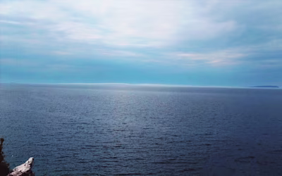 Nature Based Photography