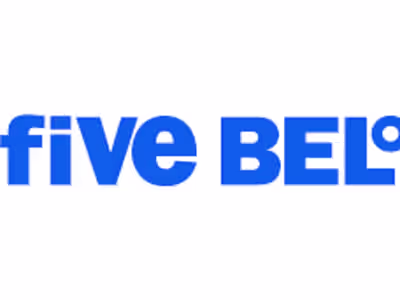 Five Below - Google Ads