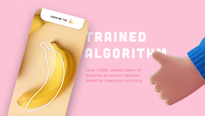 Nanner Scanner