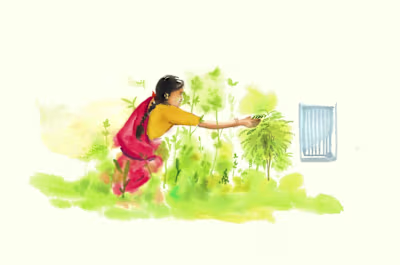 Karivepaku (Curry leaves): A treasure to the Indian kitchen
