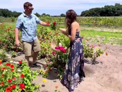 Among the Wildflowers