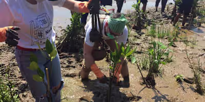 Mitigating Environmental Impacts at Jakarta Bay