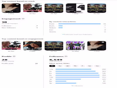 Merostream Social Media Growth Project