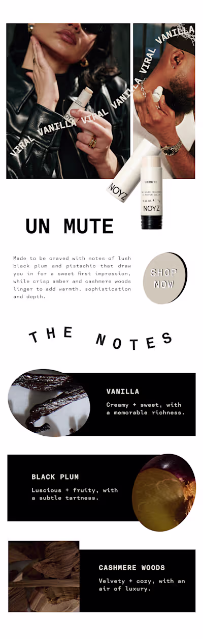 Email Marketing Mailer