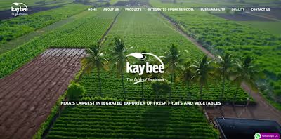 Virtual Assistant to CEO | Kay Bee Exports, India