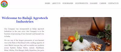 Balaji AgroTech | Website Development