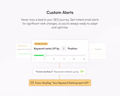 Some website illustrations I made for an SEO SaaS Platform.