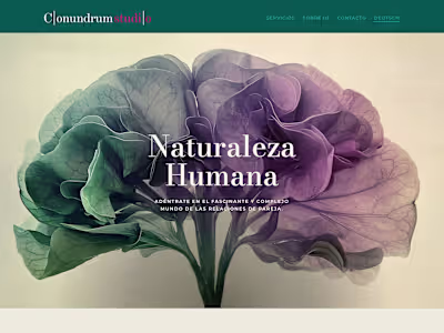 Website for Conundrum Studio