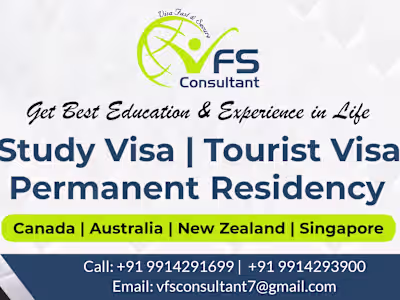 VFS Consultant