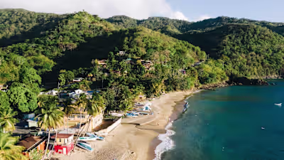 Trinidad and Tobago’s Soca Musicians on a Year Without Carnival