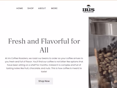 Website Creation and Maintenance 