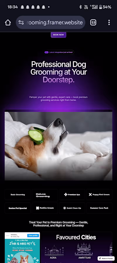 Mr & Mrs Pet Landing Page Design