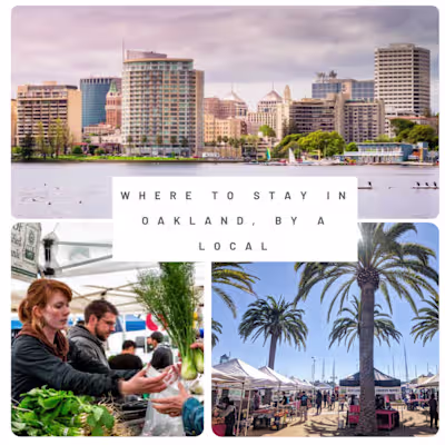 Travel Lemming (Content Writing + SEO)