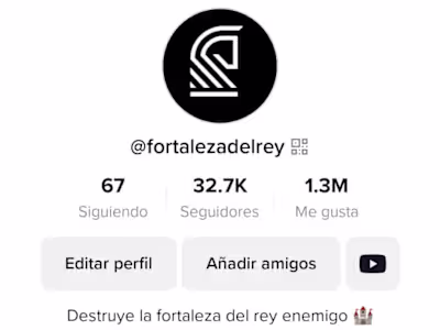 Viral TikTok account / Video Editor