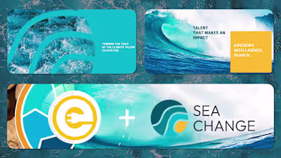 Branding + Web Development for Climate Advisory Company