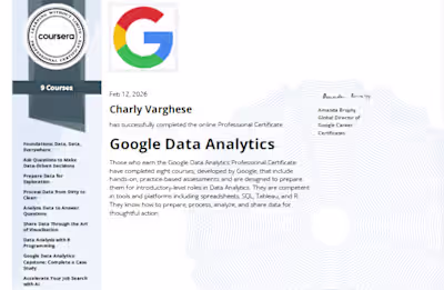 Google Data Analytics Professional Certificate