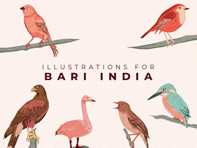 Bari-Illustrations