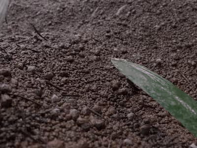 Realistic Dirt
