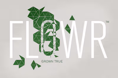 Proposed logo / identity system for cannabis co.