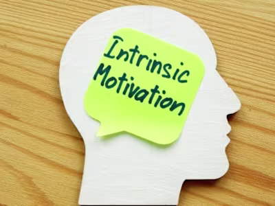 What Is Intrinsic Motivation?