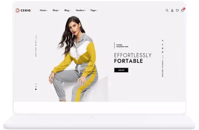 Ecommerce Website Design,  Ecommerce Wordpress website project