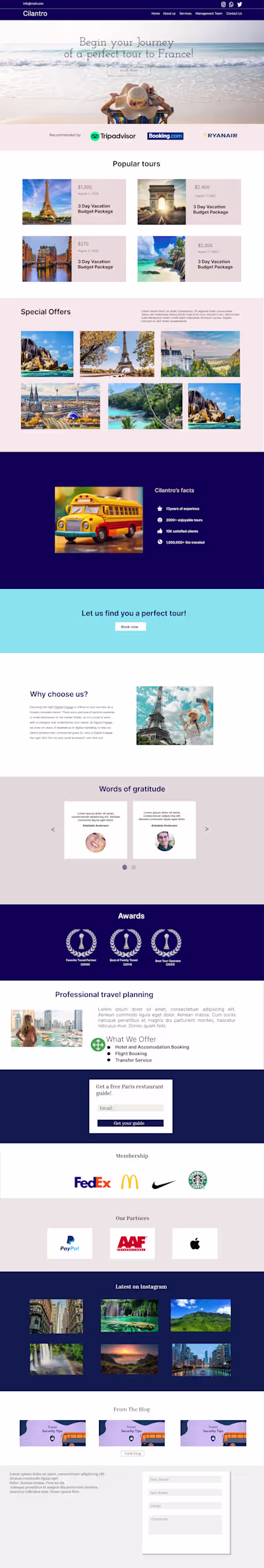Website Design