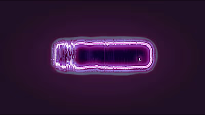 Matsumoto Capstone 1 Full Sail University Motion Graphics