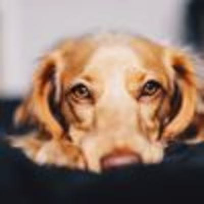 MultyPros (@multypros) • Instagram photos and videos