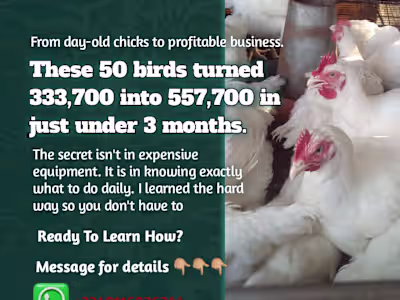 The Marketing Edge: How Smart Copy Turns Struggles into Sales