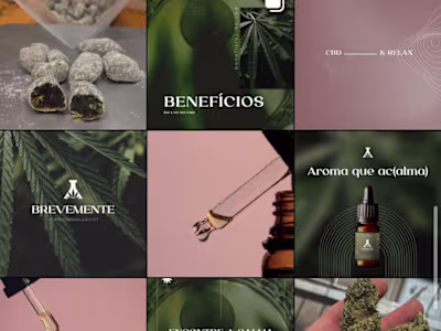 Social Media Management - CBD Store