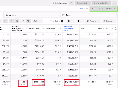 Increased Purchase Conversion Value by 785% in 2023